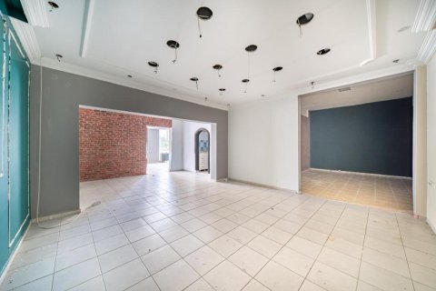 Forretning i Alanya, Antalya, Tyrkiet Nr. 217087 - 6