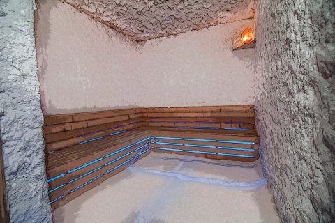 1+1 Leilighet  i Gazipasa, Antalya, Tyrkia Nr. 93421 - 10