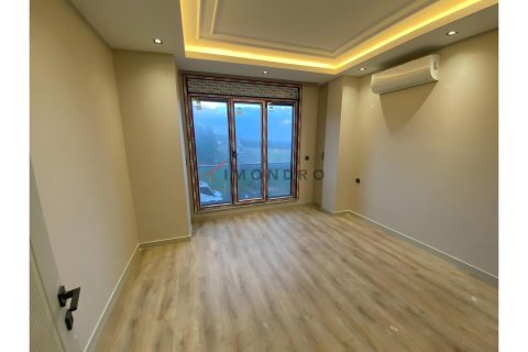 ویلا در Bueyuekcekmece ، ترکیه 6 خوابه ، 295 متر مربع. شماره 226452 - 11