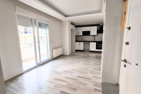 Квартира 1+1 в Анталье, Турция №219981