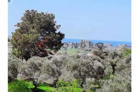 4+1 Leilighet i Manavgat, Antalya, Tyrkia Nr. 219983 - 26