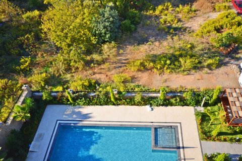 2+1 Wohnung  in Alanya, Antalya, Türkei Nr. 216882 - 19