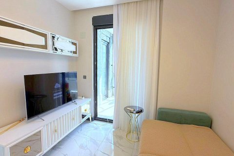2+0 Lägenhet i Mahmutlar, Antalya, Turkiet Nr. 225410 - 7