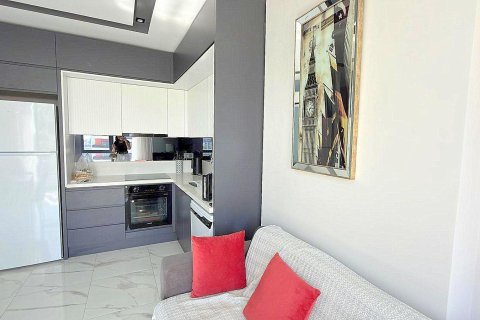 2+0 Lägenhet i Mahmutlar, Antalya, Turkiet Nr. 225410 - 2
