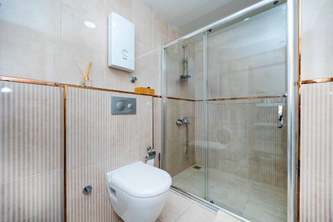 1+0 Lägenhet i Cikcilli, Antalya, Turkiet Nr. 225412 - 10
