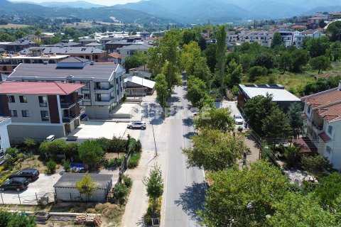 Ticari gayrimenkul   Yalova, Türkiye №226625 - 13