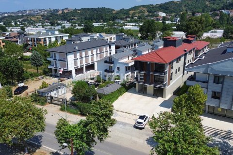 Коммерческая недвижимость  440м2 в Ялове, Турция №226625