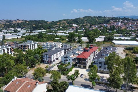 Ticari gayrimenkul   Yalova, Türkiye №226625 - 14