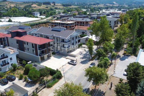 Ticari gayrimenkul   Yalova, Türkiye №226625 - 12