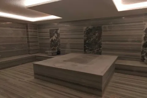 1+1 Lejlighed i Alanya, Antalya, Tyrkiet Nr. 223697 - 17