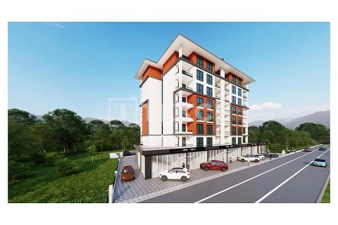 1+1 Leilighet i Bursa, Tyrkia Nr. 227221 - 5