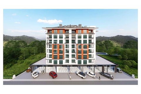 2+1 Apartment in Bursa, Turkey No. 227222