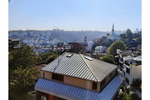 3+1 Lägenhet i Besiktas, Istanbul, istanbul, Turkiet Nr. 225211 - 2