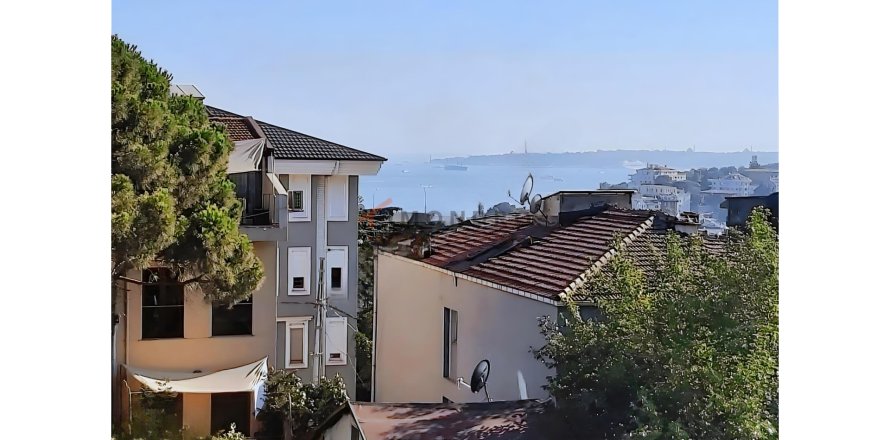 3+1 Lägenhet i Besiktas, Istanbul, istanbul, Turkiet Nr. 225211