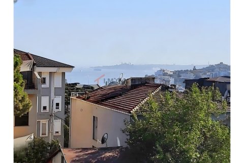 3+1 Lägenhet i Besiktas, Istanbul, istanbul, Turkiet Nr. 225211 - 10