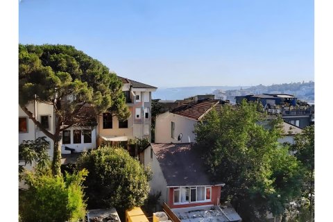 3+1 Lägenhet i Besiktas, Istanbul, istanbul, Turkiet Nr. 225211 - 13