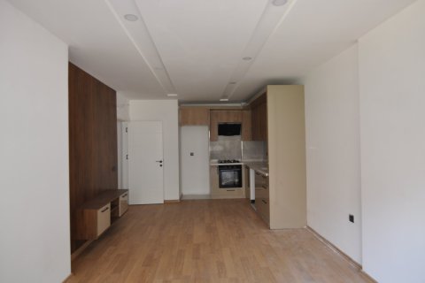 1+1 Leilighet i Muratpasa, Antalya, Tyrkia Nr. 213323 - 11