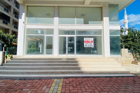 Mağaza   Mahmutlar, Antalya, Türkiye №213324