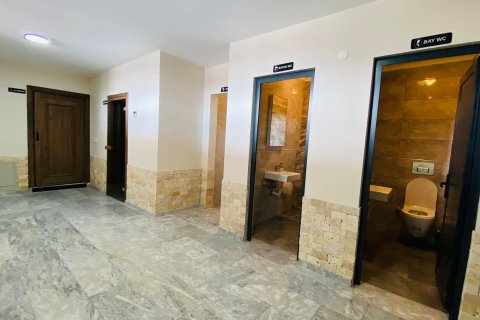 5+1 Leilighet  i Bektas, Alanya, Antalya, Tyrkia Nr. 213326 - 16