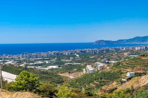 Lägenhet i Alanya, Antalya, Turkiet Nr. 223213 - 8