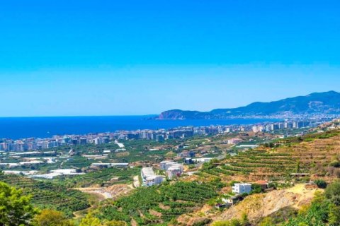 Lejlighed  i Alanya, Antalya, Tyrkiet Nr. 223213