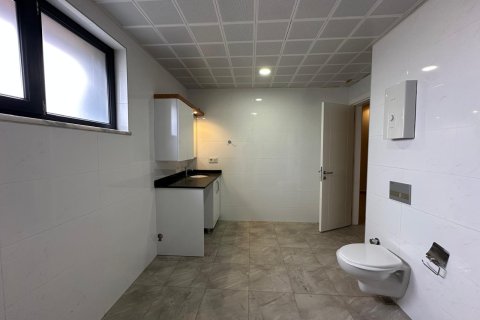 6+1 Lägenhet i Oba, Antalya, Turkiet Nr. 223216 - 22