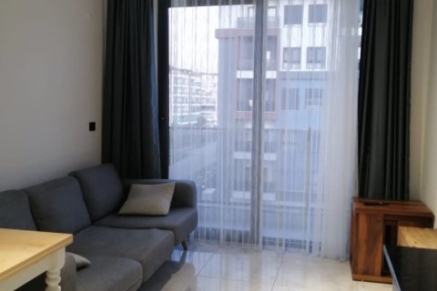 1+1 Wohnung in Alanya, Antalya, Türkei Nr. 216843 - 25