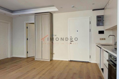 آپارتمان در Beyoglu، Istanbul ، ترکیه 1 خوابه ، 50 متر مربع. شماره 228793 - 16