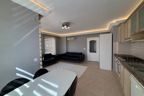 1+1 Wohnung  in Alanya, Antalya, Türkei Nr. 216717 - 10
