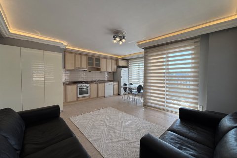 1+1 Wohnung  in Alanya, Antalya, Türkei Nr. 216717 - 9