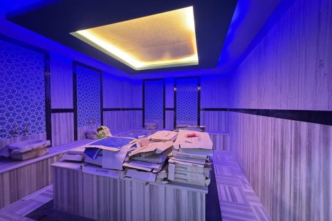 1+1 Lejlighed i Alanya, Antalya, Tyrkiet Nr. 225762 - 11
