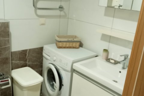 1+0 Wohnung in Cikcilli, Antalya, Türkei Nr. 225769 - 11