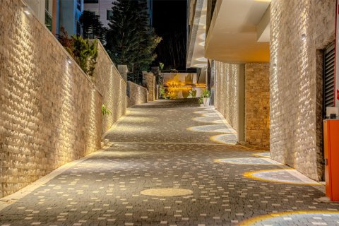 2+1 Lejlighed i Alanya, Antalya, Tyrkiet Nr. 221763 - 29