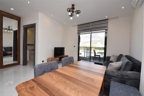 1+1 Leilighet  i Alanya, Antalya, Tyrkia Nr. 216671 - 27