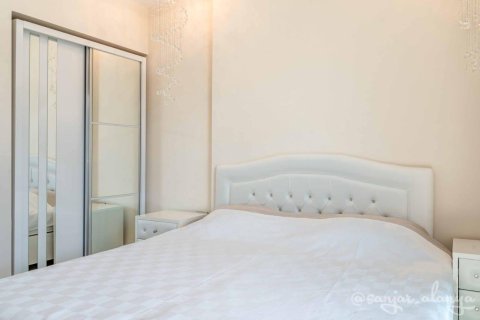 1+1 Wohnung  in Mahmutlar, Antalya, Türkei Nr. 225813 - 11
