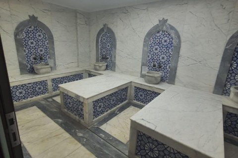 1+1 Wohnung  in Oba, Antalya, Türkei Nr. 225816 - 24