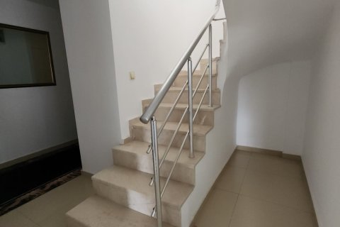 Daire  3+1  Mahmutlar, Antalya, Türkiye №221783 - 10