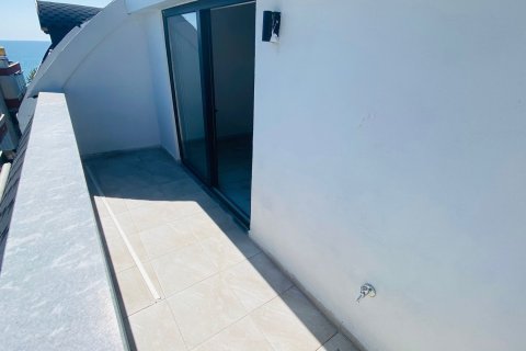 3+1 Leilighet i Alanya, Antalya, Tyrkia Nr. 215586 - 22