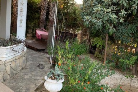 Villa in Turkler, Alanya, Antalya, Türkei Nr. 221591 - 23
