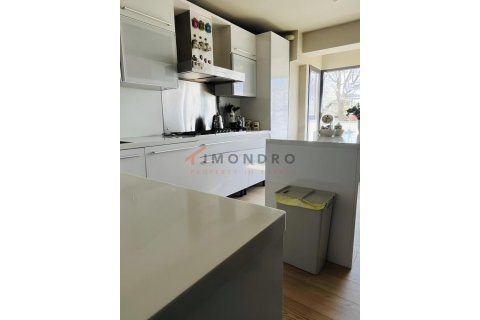 4+1 Lejlighed  i Besiktas, Istanbul, Tyrkiet Nr. 225245 - 2