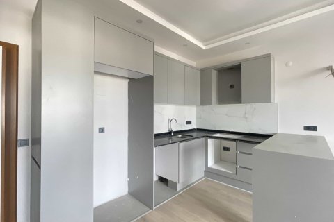 1+1 Wohnung  in Alanya, Antalya, Türkei Nr. 237752 - 5