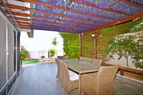 Villa  3+1  Alanya, Antalya, Türkiye №216848 - 12