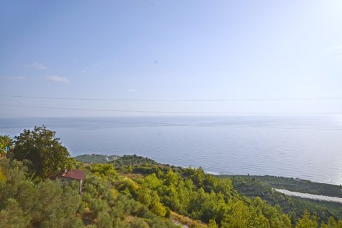 3+1 Villa  i Alanya, Antalya, Turkiet Nr. 216848