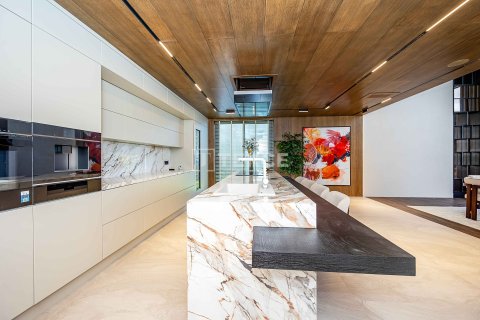 4+1 Villa in Alanya, Antalya, Türkei Nr. 215005 - 29