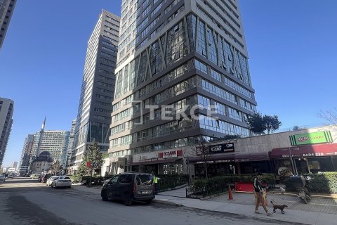3+1 Lägenhet i istanbul, Turkiet Nr. 221174 - 2