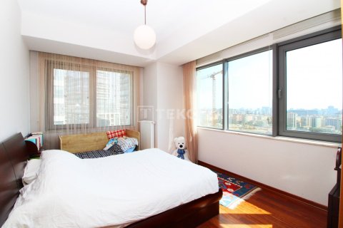 3+1 Lägenhet i istanbul, Turkiet Nr. 221174 - 21