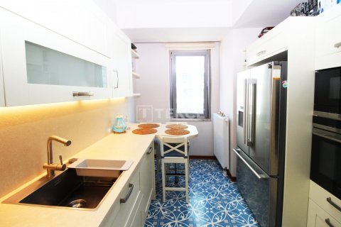 3+1 Lägenhet i istanbul, Turkiet Nr. 221174 - 19