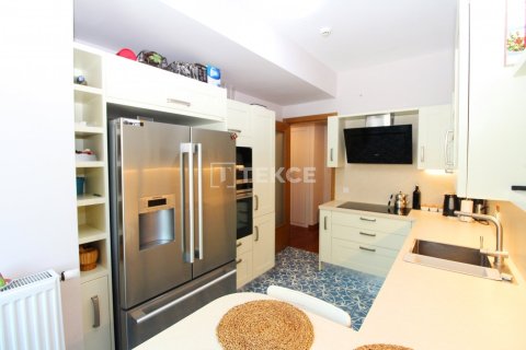 3+1 Lägenhet i istanbul, Turkiet Nr. 221174 - 18