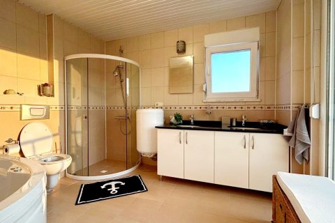 3+1 Villa  i Kestel, Antalya, Turkiet Nr. 213583 - 24