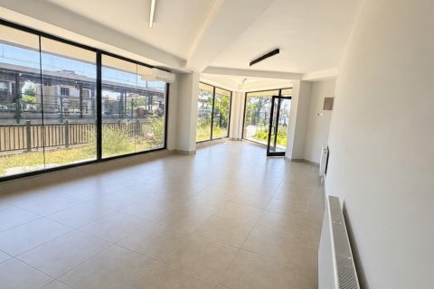 Ticari gayrimenkul   Maltepe, İstanbul, Türkiye №232171 - 4